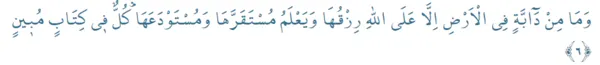 hud-suresi-6-ayet-hud-suresi-6-ayeti-okunusu-ve-anlami-1643102520982.png
