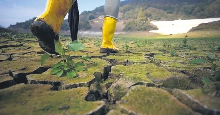 Tarımın geleceği için 8 stratejik adım