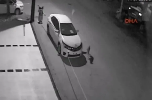 Bir köpek ve otomobil vakası daha