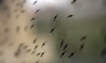 Batı Nil virüsü KKTC’de can aldı