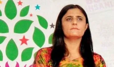 Milletvekili değil kadrolu militan!