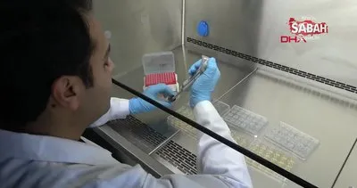 Mersin Üniversitesi’nde Multiple Skleroz MS hastalığını engelleyecek ilaç üretildi | Video
