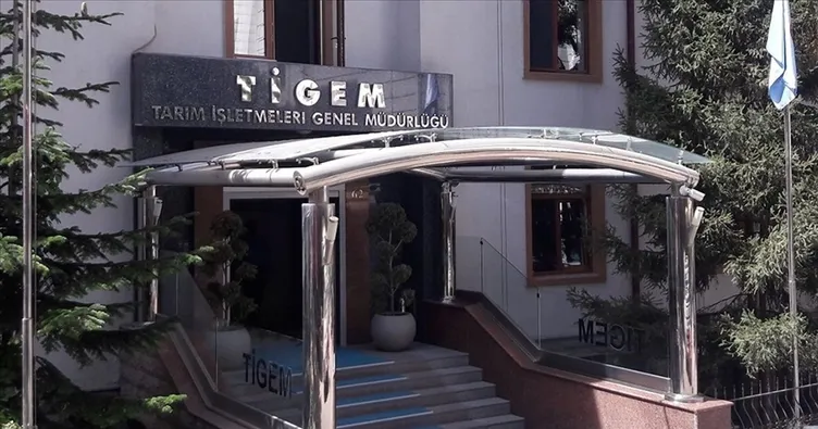 TİGEM’den 20 tonluk mahsul ceviz satışı