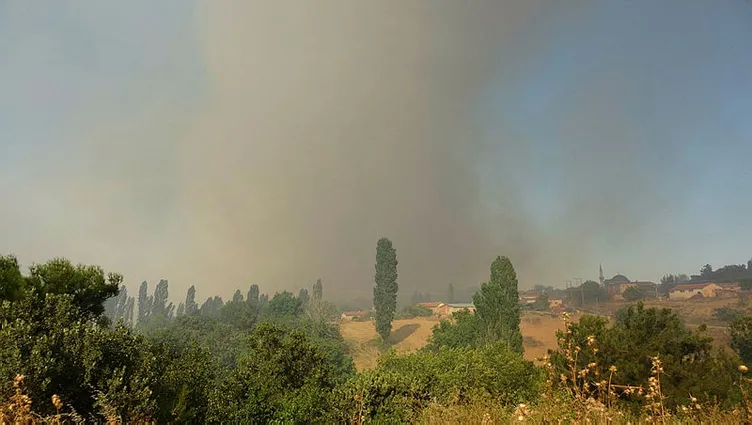 SON DAKİKA: Hatay, Mersin ve Çanakkale'de orman yangını! Alevlerle mücadele sürüyor: Bakanlar son bilançoyu açıkladı