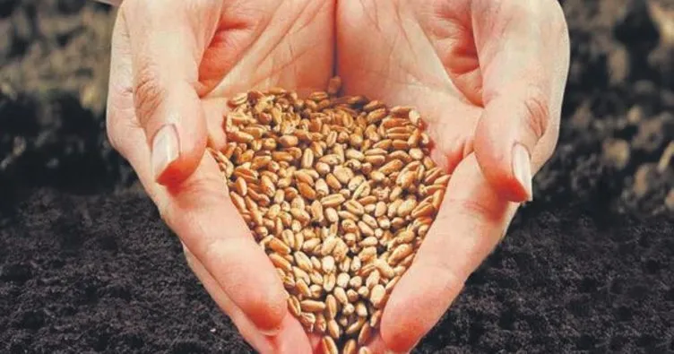Sertifikalı tohum ihracatı 20 kat arttı