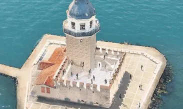 Betonun içinden deniz kabuğu çıktı