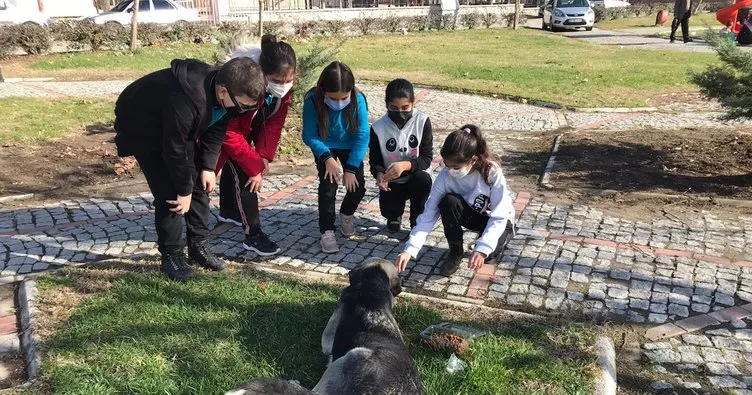 Ortaokul öğrencilerinden sokak hayvanları için Avrupa Birliği projesi