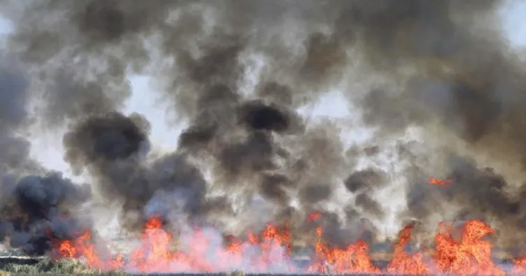 Mogan Gölü’nde sazlık yangını