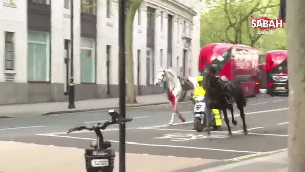 Süvari atları Londra'yı birbirine kattı! Yaralılar var | Video