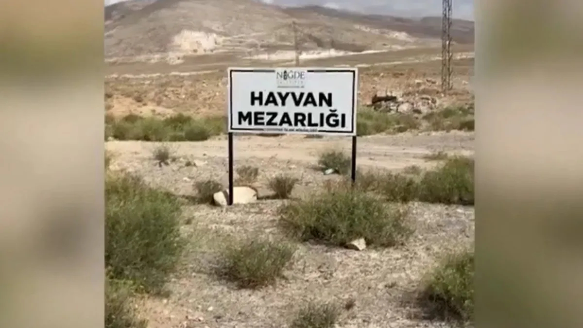 Niğde'de köpeklerin topluca gömüldüğü iddia edildi, işin aslı bambaşka çıktı