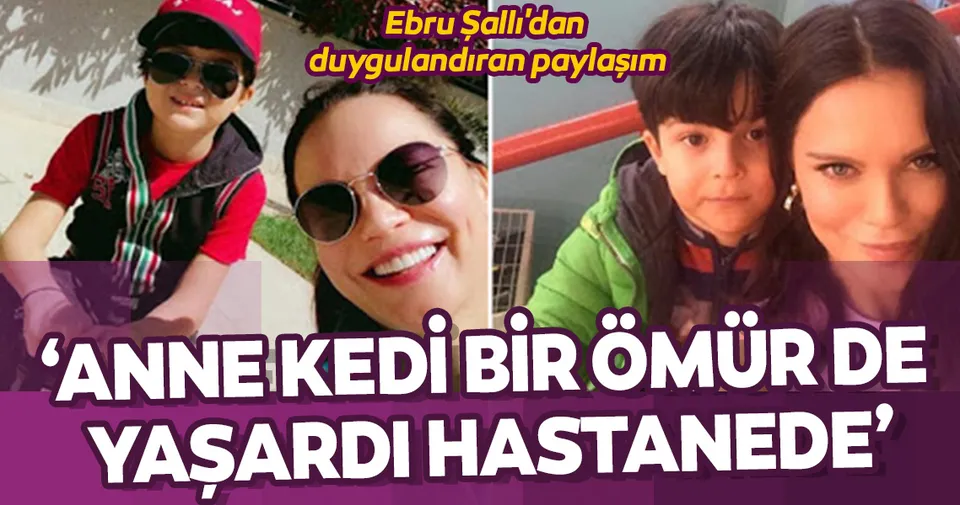 yavrusunu hastaneye getiren kedi