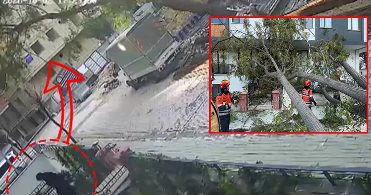 Avcılar’da dehşet anları kamerada! Dev ağacın altında kalmaktan son anda böyle kurtuldu