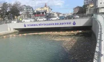 Son dakika: İstanbul Kadıköy’deki Kurbağalıdere yine çöplüğe döndü!