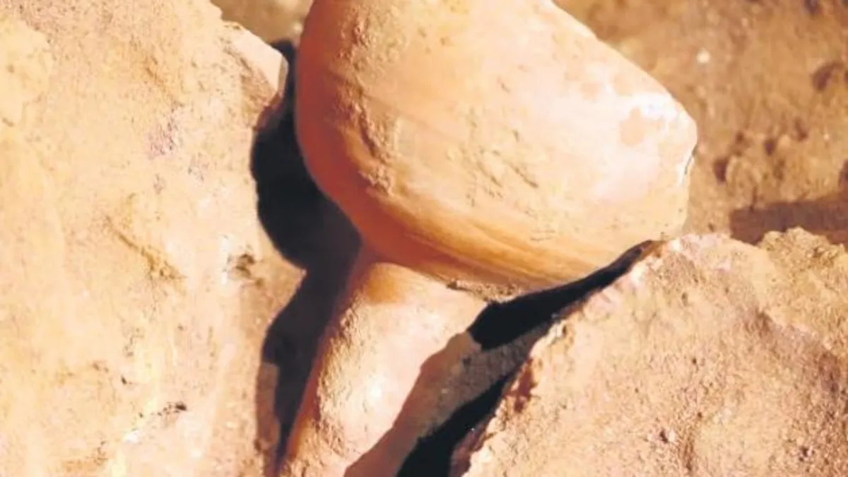 Petra’da 2 bin yıllık insan iskeletleri bulundu Petra’da 2 bin yıllık insan iskeletleri bulundu