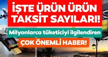 BDDK'dan yeni düzenleme! Hangi ürüne ne kadar taksit var? İşte ürün ürün kredi kartı taksit sayıları...