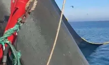 Marmara Denizi'nde müsilaj tehdidi: Tarihte ilk defa o bölgede... 'Balıkçı bu yıl umduğunu bulamadı' #tekirdag