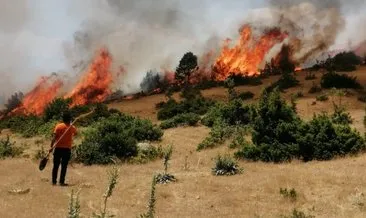 Bingöl’de çıkan orman yangını büyümeden söndürüldü