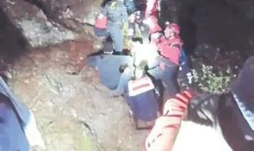 Av denetiminde ölümden döndü