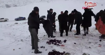 Dağ keçileri için yem bıraktılar | Video