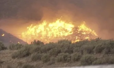 California’da alevler büyüyor: Binlerce hektar alan kül oldu
