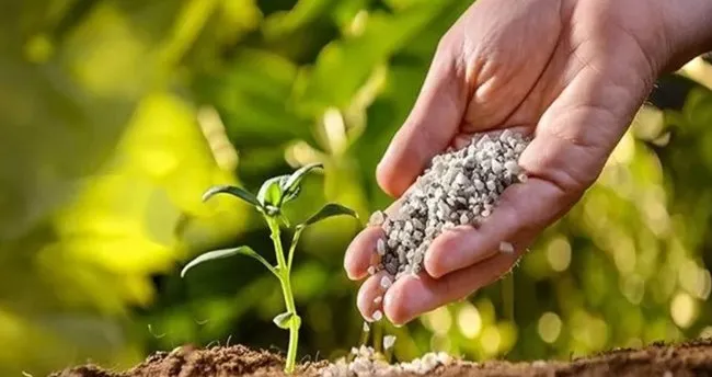 Evde Organik Gübre Nasıl Yapılır? Çay Çöpünden, Sebze Meyve Atıklarından Gübre Yapımı
