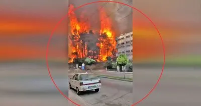 Antalya Manavgat’taki yangından son dakika dehşet görüntüleri! Sıçrayan yangın apartmanları alev alev yakıyor