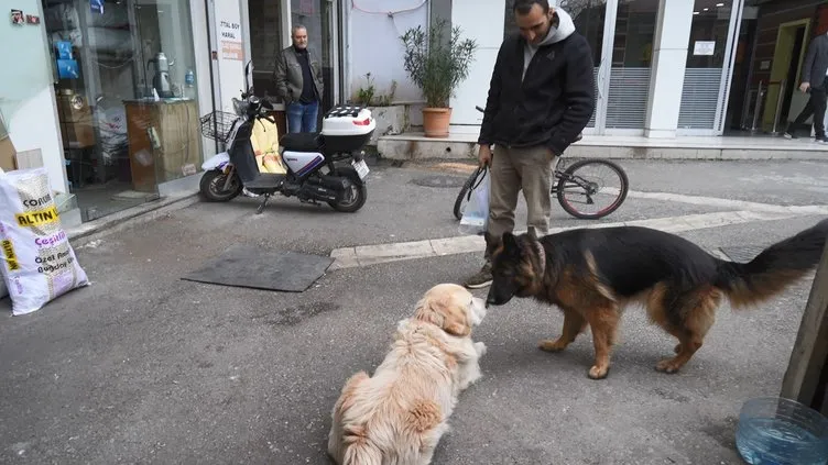 Köpeğin havlamasından korktu, bacağını kırdı: Sahibine araba parası kadar tazminat cezası!