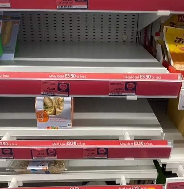 İngiltere’de bir kez daha salmonella alarmı! O ürünlerin satışı durduruldu: Sakın yemeyin!