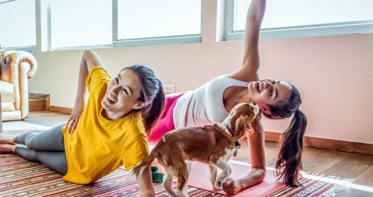 Yavru köpeklerle yapılan yoga yasaklandı! Sebebini...