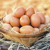 Zeytinin Faydalari Ve Zararlari Nelerdir Zeytin Zayiflatir Mi Gunde Kac Zeytin Yenmeli Saglik Haberleri