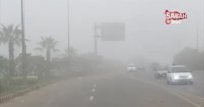 Pakistan’ın Lahore şehri yoğun sise teslim oldu | Video