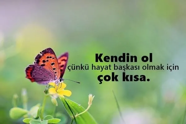 Güzel Sözler 2021 - Kısa, Uzun Anlamlı, Özlü Sözler ve Sevgiliye En Güzel Sözler