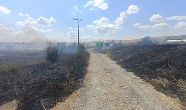 Susurluk’ta otluk ve sazlık alanda korkutan yangın