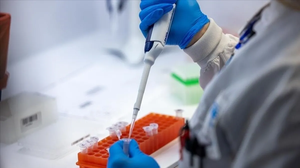 Afrika’da M çiçeği alarmı! Kıta genelinde acil durum ilan edildi Afrika’da M çiçeği alarmı! Kıta genelinde acil durum ilan edildi