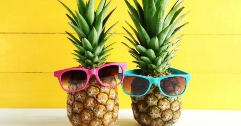 ananas nerede yetisir saksida ananas nasil yetistirilir ananas meyvesi turkiye de nerede yetisir son dakika yasam haberleri ananas nerede yetisir saksida ananas nasil yetistirilir ananas meyvesi turkiye de nerede yetisir son dakika yasam haberleri