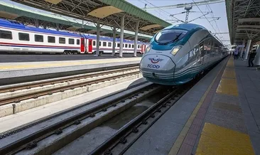 TCDD tren yollarında ilaçlama yapacak