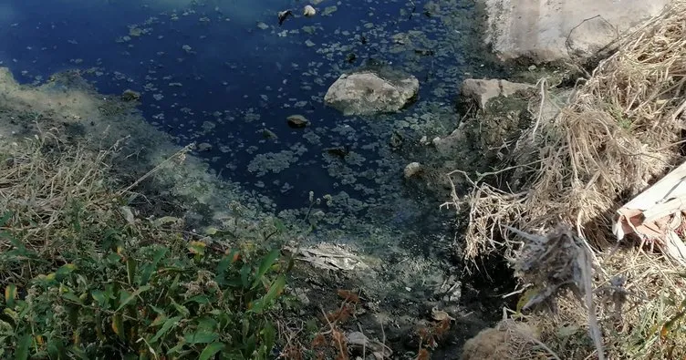 İZSU bakıyor Körfez’e zehir akıyor