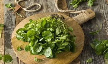 Kilo vermenizi sağlayacak 5 yeşillik!