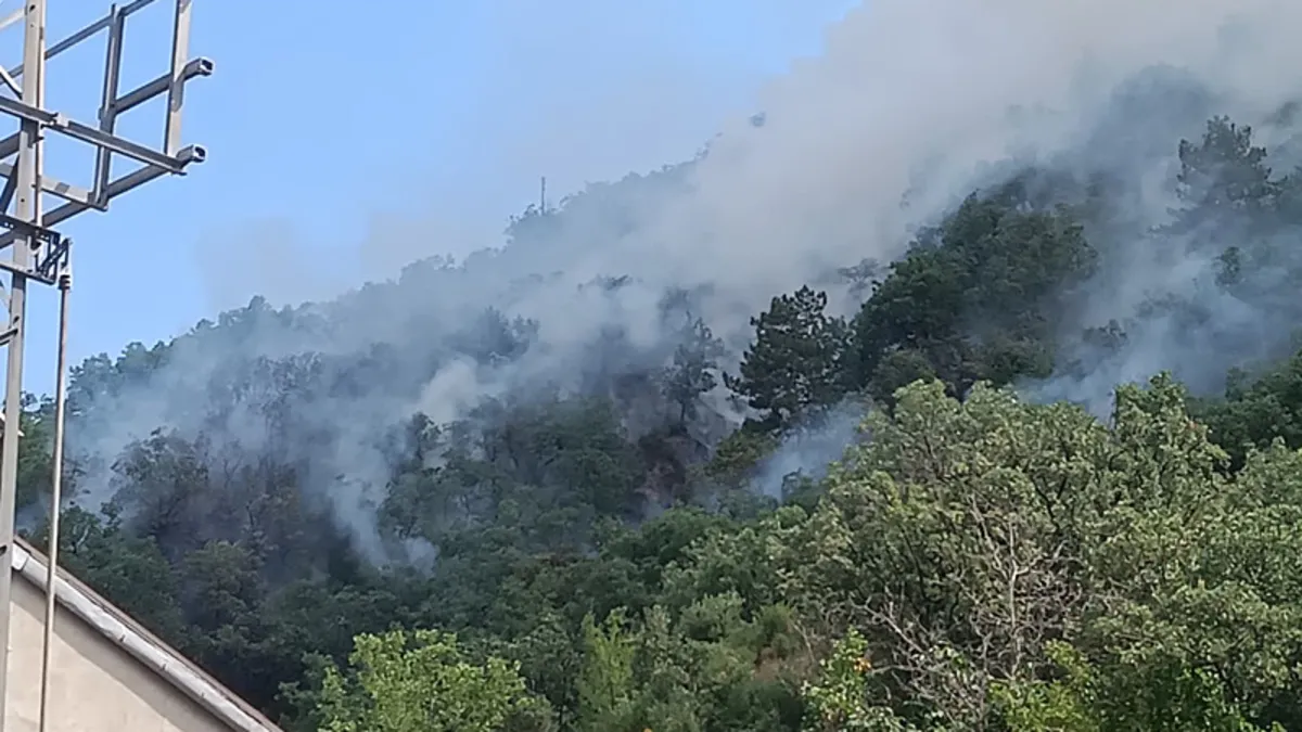 Kastamonu’da orman yangını: Ekiplerin müdahalesi sürüyor Kastamonu’da orman yangını: Ekiplerin müdahalesi sürüyor