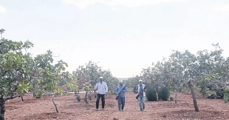 Canları pahasına koruyorlar