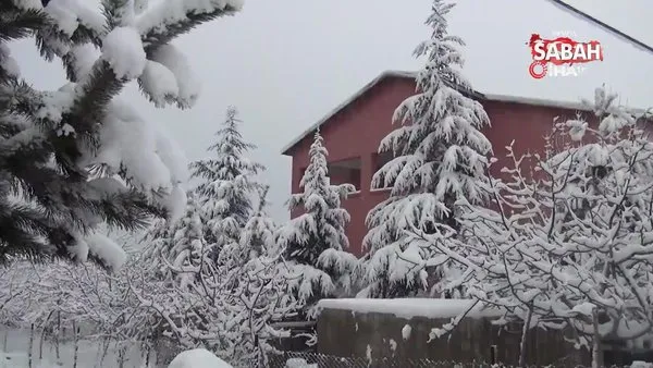 Bitlis Ahlat’ta yoğun kar yağışı | Video