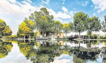 Fotoğraf yarışması sonuçları açıklandı