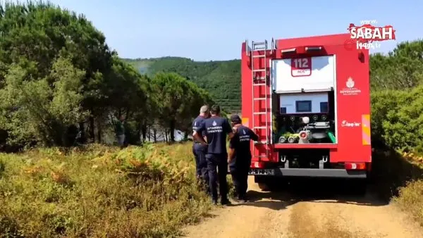 Sultangazi Kent Ormanı'nda çıkan yangın paniğe neden oldu | Video