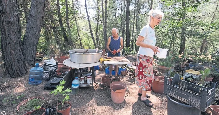 Ekolojik tatil keyfi