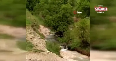 Sağanak yağış nedeniyle dere taştı | Video