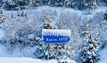 Köse Dağı beyaza büründü: Nisan ortasında kar esareti!