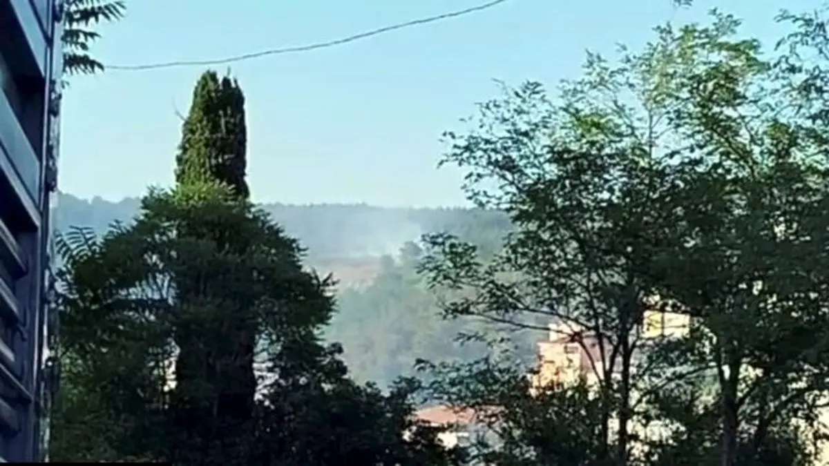 Çöpü yakayım derken ormanı yakıyorlardı
