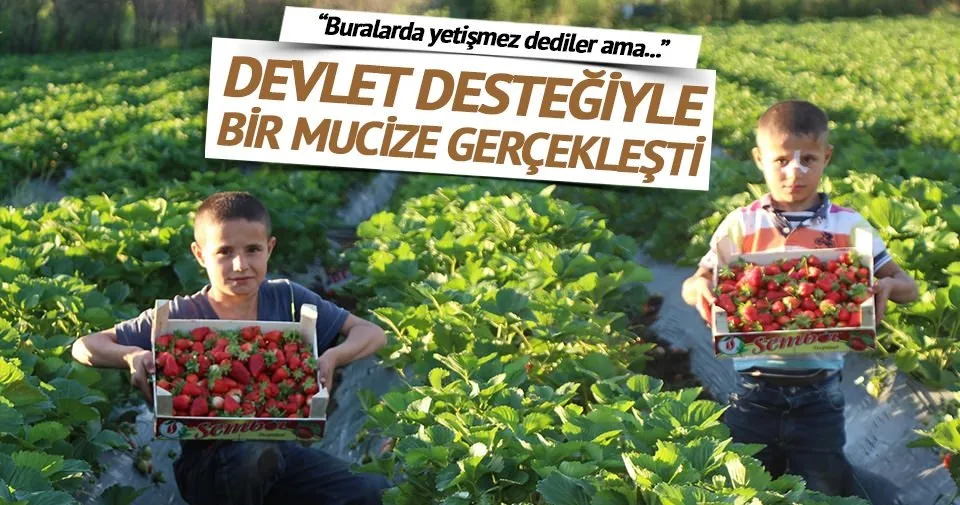 Günün ekonomi haberleri(19.05.2016)
