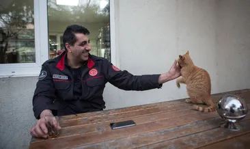 İtfaiyenin kadrolu kedisi Boncuk