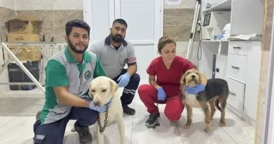 O can dostlara Menemen’de şefkat eli #izmir